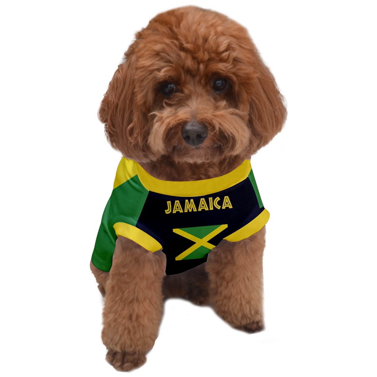 Jamaica Flag Dog Shirt *Many Sizes Available.