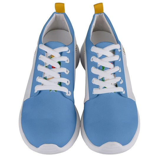 Unique Argentina Flag Shoes